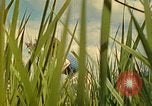 Standbild Eva Braun Berchtesgaden Deutschland, 1940, aus Sekunde 13 historischem Filmmaterial Videoclip 65675077740