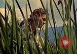 Standbild Eva Braun Berchtesgaden Deutschland, 1940, aus Sekunde 21 historischem Filmmaterial Videoclip 65675077740