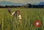 Standbild Eva Braun Berchtesgaden Deutschland, 1940, aus Sekunde 26 historischem Filmmaterial Videoclip 65675077740