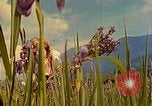 Standbild Eva Braun Berchtesgaden Deutschland, 1940, aus Sekunde 56 historischem Filmmaterial Videoclip 65675077740