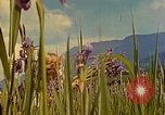 Standbild Eva Braun Berchtesgaden Deutschland, 1940, aus Sekunde 57 historischem Filmmaterial Videoclip 65675077740