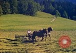 Image Adolf Hitler Berchtesgaden Allemagne, 1940, de la seconde 4 séquences d'archives historiques vidéo 65675077743