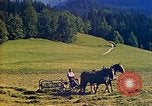 Image Adolf Hitler Berchtesgaden Allemagne, 1940, de la seconde 5 séquences d'archives historiques vidéo 65675077743