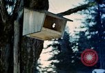 Image Adolf Hitler Berchtesgaden Allemagne, 1940, de la seconde 25 séquences d'archives historiques vidéo 65675077756