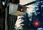 Image Adolf Hitler Berchtesgaden Allemagne, 1940, de la seconde 27 séquences d'archives historiques vidéo 65675077756
