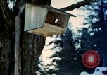 Image Adolf Hitler Berchtesgaden Allemagne, 1940, de la seconde 31 séquences d'archives historiques vidéo 65675077756