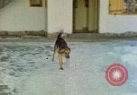 Image Adolf Hitler Berchtesgaden Allemagne, 1940, de la seconde 44 séquences d'archives historiques vidéo 65675077756