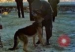 Image Adolf Hitler Berchtesgaden Allemagne, 1940, de la seconde 48 séquences d'archives historiques vidéo 65675077756