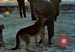 Image Adolf Hitler Berchtesgaden Allemagne, 1940, de la seconde 49 séquences d'archives historiques vidéo 65675077756