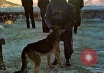 Image Adolf Hitler Berchtesgaden Allemagne, 1940, de la seconde 50 séquences d'archives historiques vidéo 65675077756