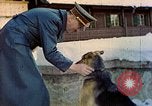 Image Adolf Hitler Berchtesgaden Allemagne, 1940, de la seconde 52 séquences d'archives historiques vidéo 65675077756
