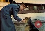 Image Adolf Hitler Berchtesgaden Allemagne, 1940, de la seconde 56 séquences d'archives historiques vidéo 65675077756