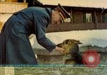 Image Adolf Hitler Berchtesgaden Allemagne, 1940, de la seconde 58 séquences d'archives historiques vidéo 65675077756