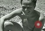 Image chaton Berchtesgaden Allemagne, 1940, de la seconde 13 séquences d'archives historiques vidéo 65675077762