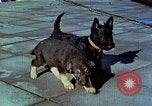 Image of Eva Braun Berchtesgaden Germany, 1940, second 1 stock footage video 65675077767