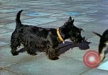 Image of Eva Braun Berchtesgaden Germany, 1940, second 4 stock footage video 65675077767