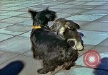 Image of Eva Braun Berchtesgaden Germany, 1940, second 10 stock footage video 65675077767