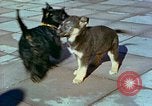 Image of Eva Braun Berchtesgaden Germany, 1940, second 11 stock footage video 65675077767