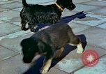 Image of Eva Braun Berchtesgaden Germany, 1940, second 12 stock footage video 65675077767