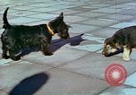 Image of Eva Braun Berchtesgaden Germany, 1940, second 13 stock footage video 65675077767