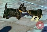 Image of Eva Braun Berchtesgaden Germany, 1940, second 14 stock footage video 65675077767