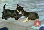 Image of Eva Braun Berchtesgaden Germany, 1940, second 15 stock footage video 65675077767