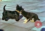 Image of Eva Braun Berchtesgaden Germany, 1940, second 16 stock footage video 65675077767