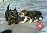 Image of Eva Braun Berchtesgaden Germany, 1940, second 18 stock footage video 65675077767