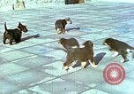 Image of Eva Braun Berchtesgaden Germany, 1940, second 20 stock footage video 65675077767