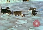 Image of Eva Braun Berchtesgaden Germany, 1940, second 21 stock footage video 65675077767
