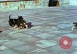 Image of Eva Braun Berchtesgaden Germany, 1940, second 22 stock footage video 65675077767
