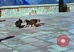 Image of Eva Braun Berchtesgaden Germany, 1940, second 25 stock footage video 65675077767
