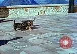 Image of Eva Braun Berchtesgaden Germany, 1940, second 28 stock footage video 65675077767