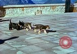 Image of Eva Braun Berchtesgaden Germany, 1940, second 29 stock footage video 65675077767