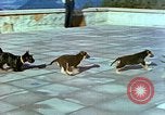 Image of Eva Braun Berchtesgaden Germany, 1940, second 30 stock footage video 65675077767