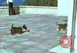 Image of Eva Braun Berchtesgaden Germany, 1940, second 31 stock footage video 65675077767
