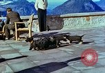 Image of Eva Braun Berchtesgaden Germany, 1940, second 32 stock footage video 65675077767