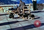 Image of Eva Braun Berchtesgaden Germany, 1940, second 33 stock footage video 65675077767