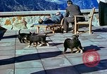 Image of Eva Braun Berchtesgaden Germany, 1940, second 34 stock footage video 65675077767
