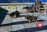 Image of Eva Braun Berchtesgaden Germany, 1940, second 36 stock footage video 65675077767