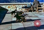 Image of Eva Braun Berchtesgaden Germany, 1940, second 37 stock footage video 65675077767