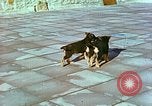Image of Eva Braun Berchtesgaden Germany, 1940, second 39 stock footage video 65675077767