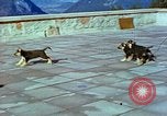 Image of Eva Braun Berchtesgaden Germany, 1940, second 41 stock footage video 65675077767