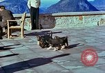 Image of Eva Braun Berchtesgaden Germany, 1940, second 47 stock footage video 65675077767