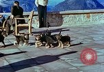 Image of Eva Braun Berchtesgaden Germany, 1940, second 48 stock footage video 65675077767