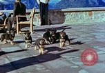 Image of Eva Braun Berchtesgaden Germany, 1940, second 49 stock footage video 65675077767