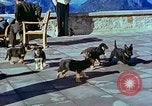 Image of Eva Braun Berchtesgaden Germany, 1940, second 50 stock footage video 65675077767