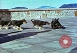 Image of Eva Braun Berchtesgaden Germany, 1940, second 53 stock footage video 65675077767