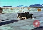 Image of Eva Braun Berchtesgaden Germany, 1940, second 54 stock footage video 65675077767