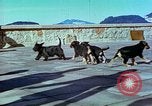 Image of Eva Braun Berchtesgaden Germany, 1940, second 55 stock footage video 65675077767